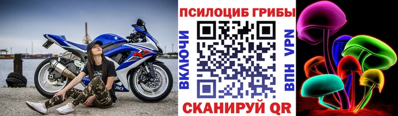 Псилоцибиновые грибы прущие грибы  OMG tor  Мариинск  купить наркотики цена 